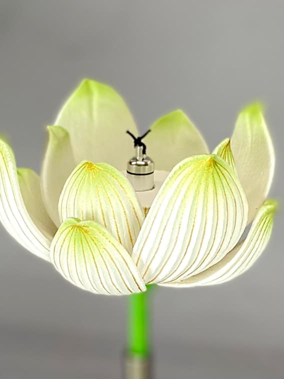 johka 商品説明画像