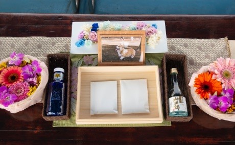 太田屋佛具本店 散骨 ペット海洋葬イメージ