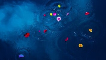 太田屋佛具本店 散骨 海洋葬(海洋散骨) イメージ写真